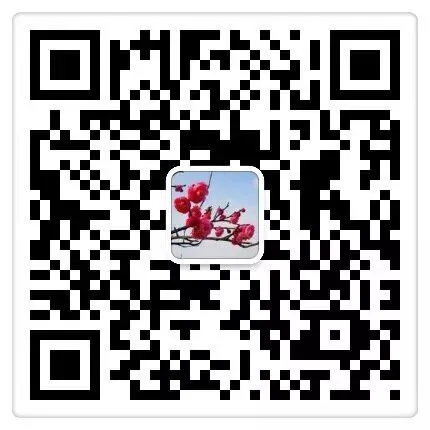 如何借助专业篮球教练提升个人声誉_1